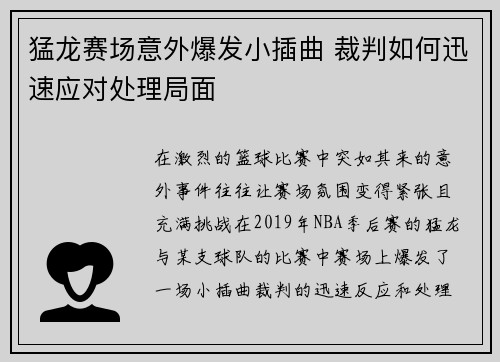 猛龙赛场意外爆发小插曲 裁判如何迅速应对处理局面